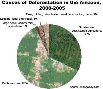 Índices De Desmatamento No Brasil