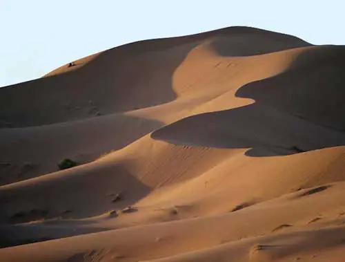 Florestas Que Viraram Desertos: Saara e China