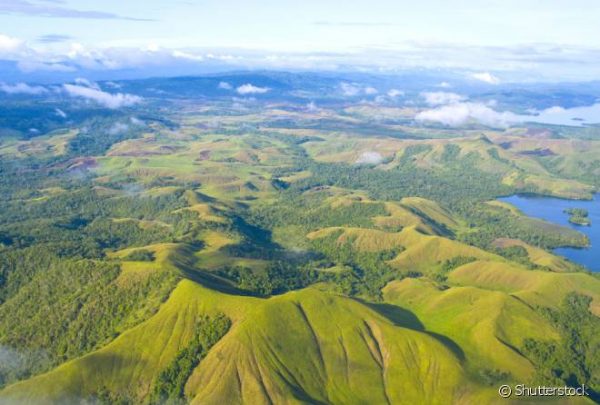 Montanhas de Papua Nova Guiné