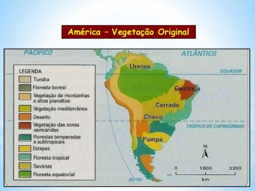 Vegetação América do Sul