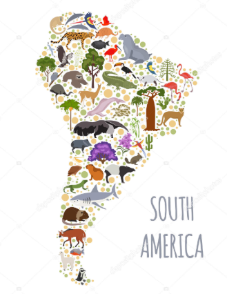 Ilustração da Fauna  da América do Sul