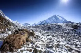 Cordilheira do Himalaia